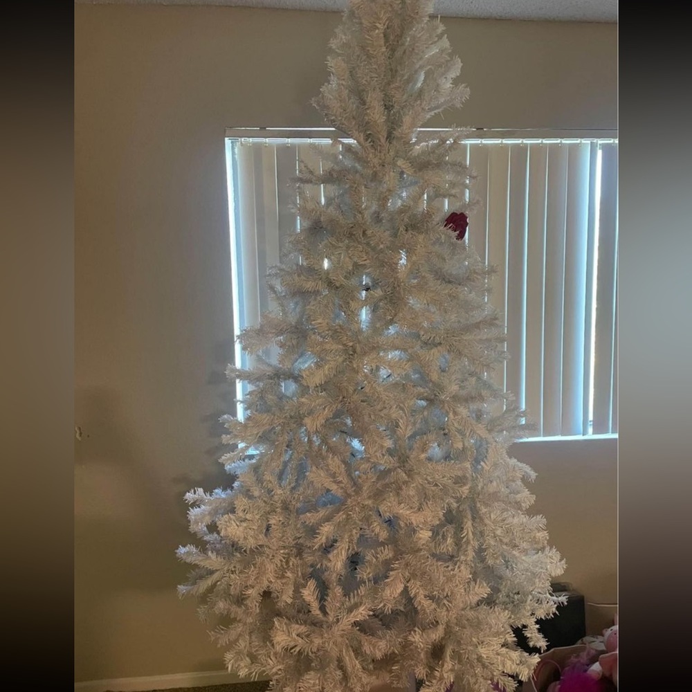 Season items. Ask for prices